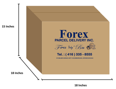 Forex box size